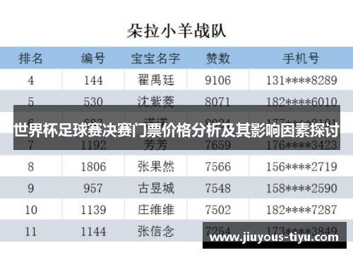 世界杯足球赛决赛门票价格分析及其影响因素探讨