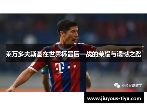 莱万多夫斯基在世界杯最后一战的荣耀与遗憾之路