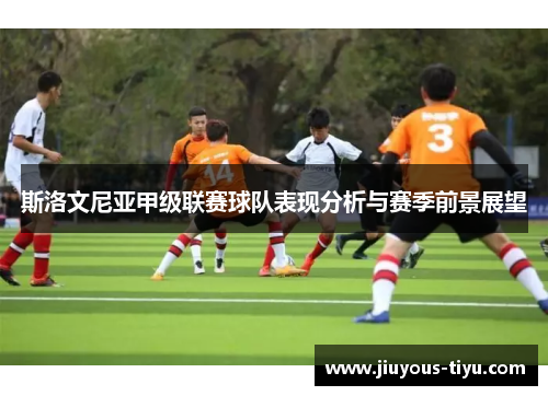 斯洛文尼亚甲级联赛球队表现分析与赛季前景展望