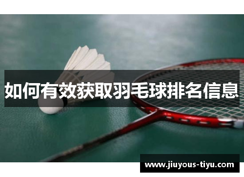 如何有效获取羽毛球排名信息