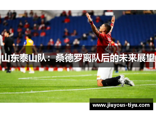 山东泰山队：桑德罗离队后的未来展望