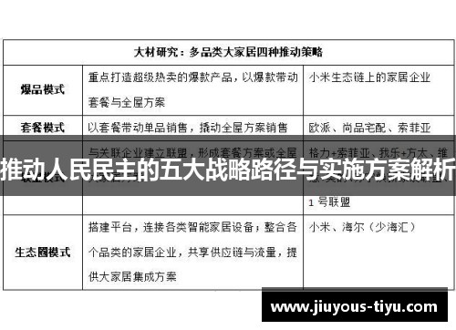 推动人民民主的五大战略路径与实施方案解析