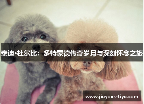 泰迪·杜尔比：多特蒙德传奇岁月与深刻怀念之旅