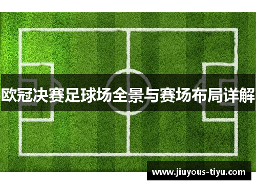 欧冠决赛足球场全景与赛场布局详解