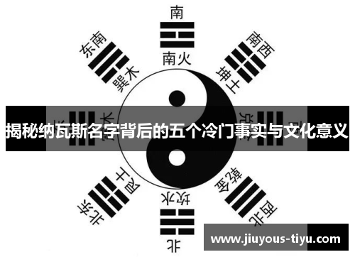 揭秘纳瓦斯名字背后的五个冷门事实与文化意义